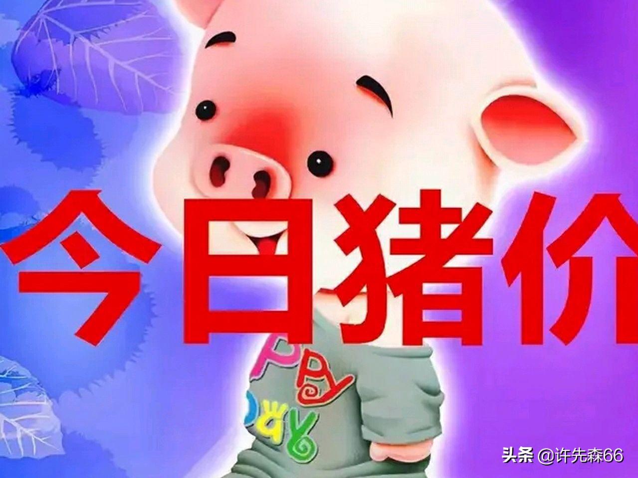 娱乐生活 第72页