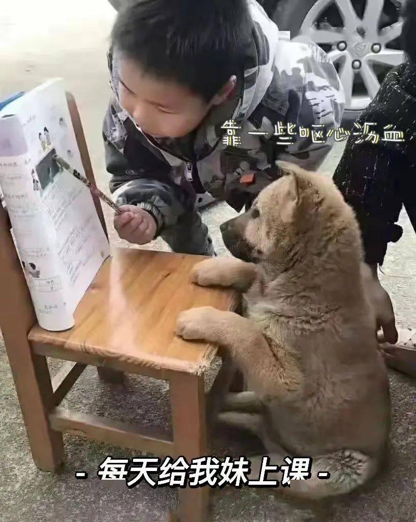 第268页